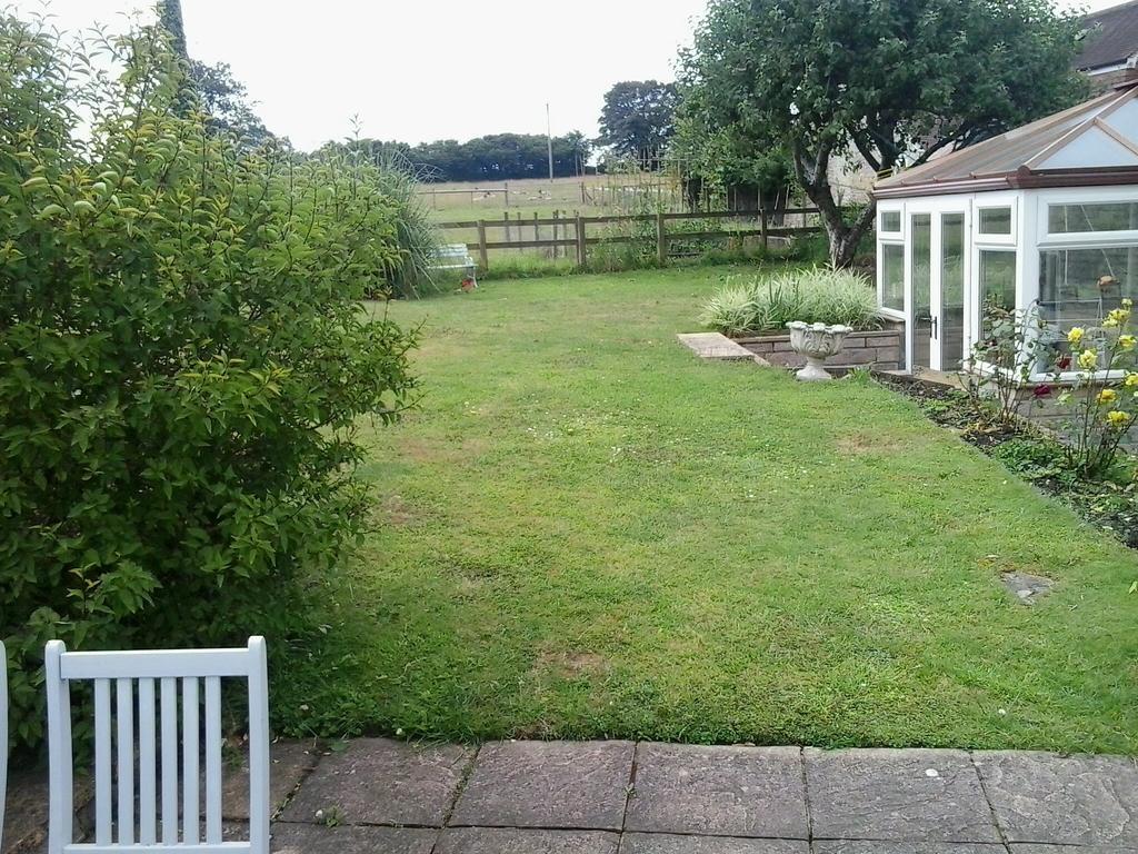 Yew Tree View *