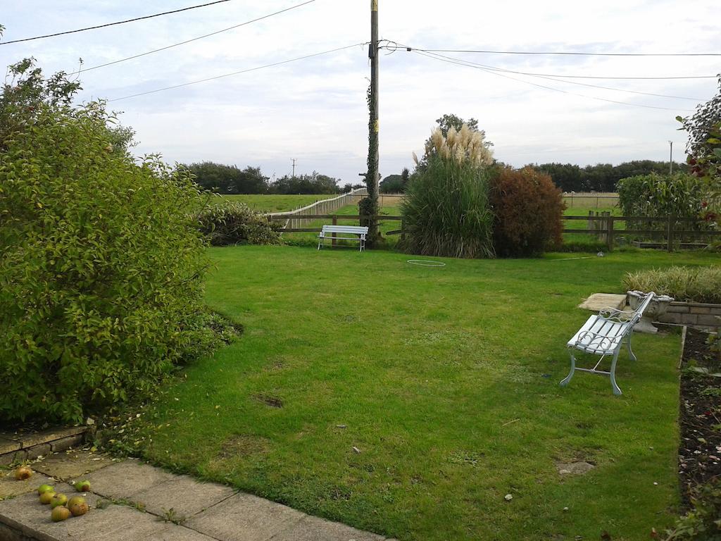 Yew Tree View